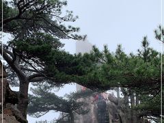 -黄山风景区