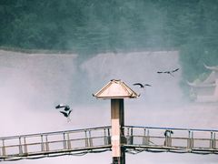 -黄河小浪底水利枢纽风景区