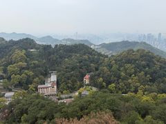 -大金鹰园