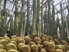 -南山植物园
