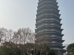 -红梅公园