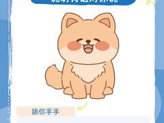 -萌宠之家·腊肠犬·马尔泰·小体犬舍