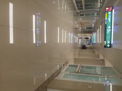 -中国人民解放军总医院