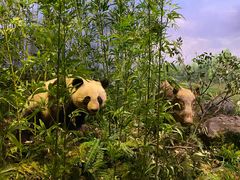 -陕西自然博物馆