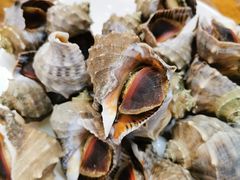 -张会海鲜饭店(东戴河店)