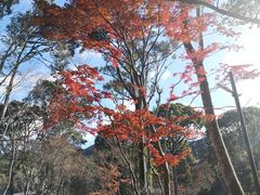 -醍醐寺