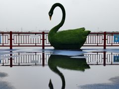 -鹅湖玫瑰文化园
