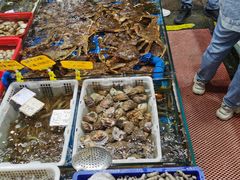 -船奇蒸汽海鲜·闽菜(八市海鲜总店)