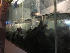 -湄公河秘制烤鱼(西双十贰城商业中心店)