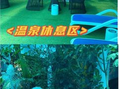 -奥帕拉拉水公园