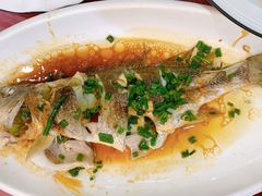-金海湾海鲜排档(朱家尖店)