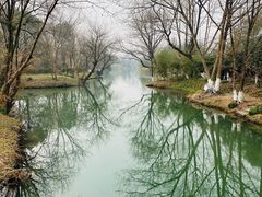 -西溪国家湿地公园