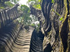 -梭布垭石林景区