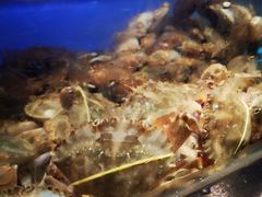 -V-ONE西雅图海鲜自助餐厅(仓山万达广场店)