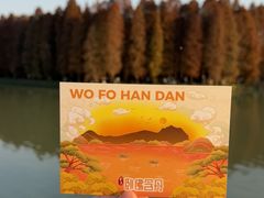 -星湖旅游景区七星岩