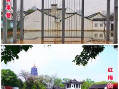 -中华恐龙园