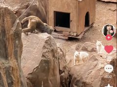 -昆明动物园