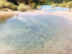 -黄龙山原始森林景区