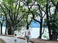 -东湖落雁景区