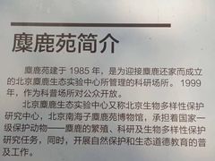 -北京麋鹿生态实验中心