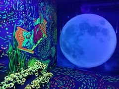 -梵高星空艺术馆(北京旗舰店)