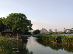 -月湖风景区