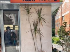 门面-Bamboo Today Cafe(国创园店)