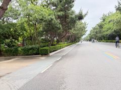 -日照海滨国家森林公园