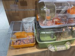 -FAELING PETS美天灵宠物(富力广场店)