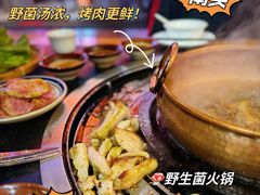 -阿山卓·野生菌火锅·纳西火塘烤肉