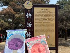 -北京西山国家森林公园