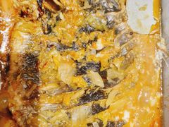 -鱼酷活鱼烤鱼(昆明路店)