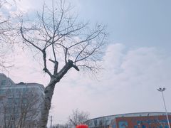 -贮水山儿童公园