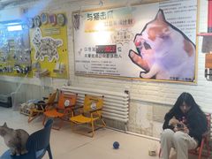 -平行世界·猫咖(首经贸店)
