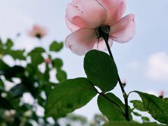 -人民公园(罗湖区)