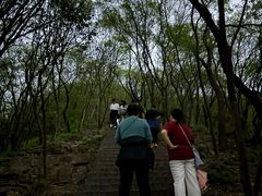 -紫金山山顶公园