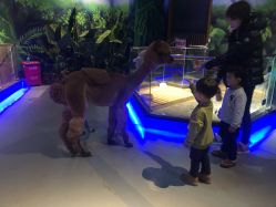 -未来动物城动物主题公园(大悦城店)
