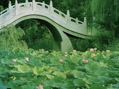 -月湖风景区