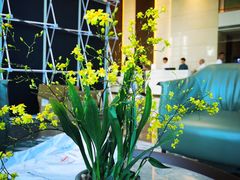 -斑斓西餐厅·自助茶点(高崎机场佰翔花园酒店)