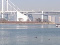 -台场海滨公园船码头