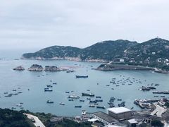 -枸杞岛