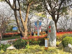 -高东镇樱花园