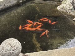 -途中饭店(开化店)