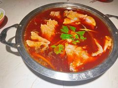 -蜀滋香鲜鱼美蛙火锅(339店)