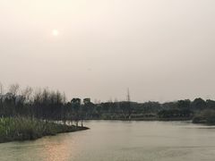 -瑶湖郊野森林公园