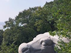 -青岛崂山太清宫