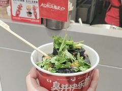-黑色经典臭豆腐·湖南特产(太平街口店)