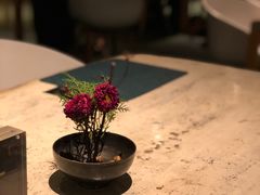 -T館·花园艺术餐厅