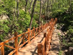 -大岭沟猕猴桃谷风景区