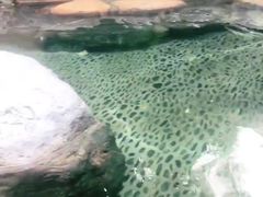 -厦门日月谷温泉渡假村